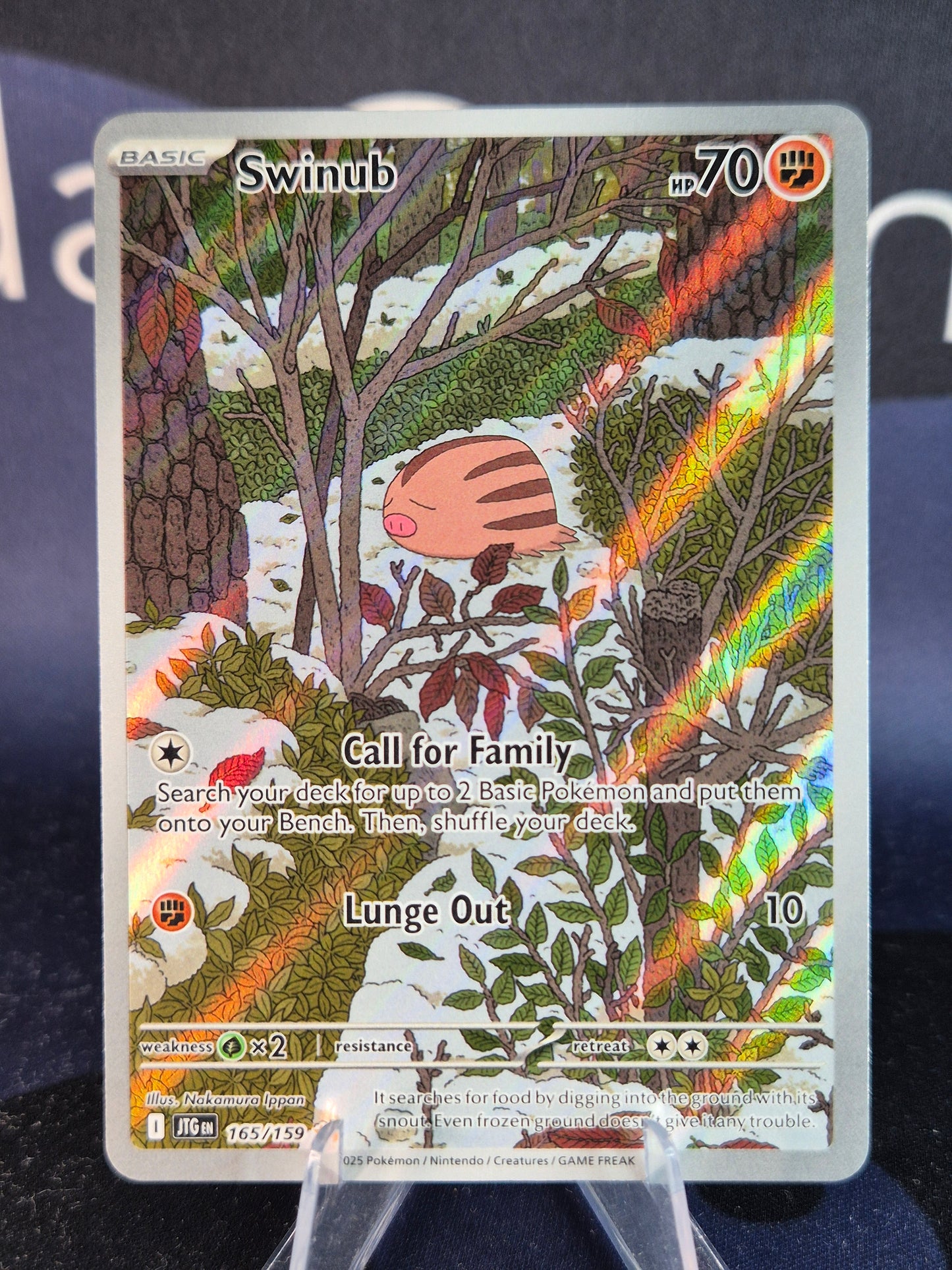 Swinub 165/159 Journey Together Illustration Rare