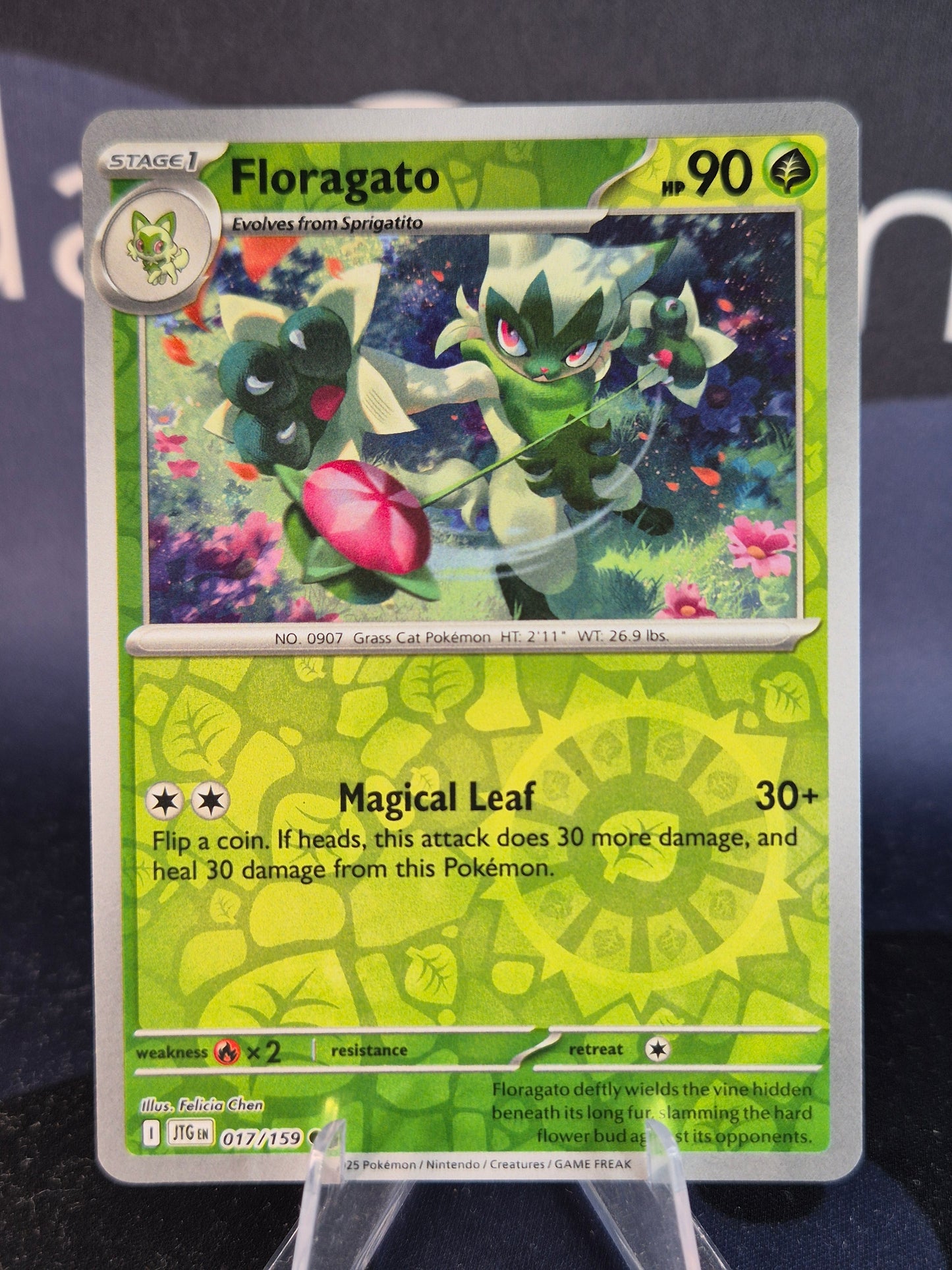 Floragato 017/159 Journey Together RH