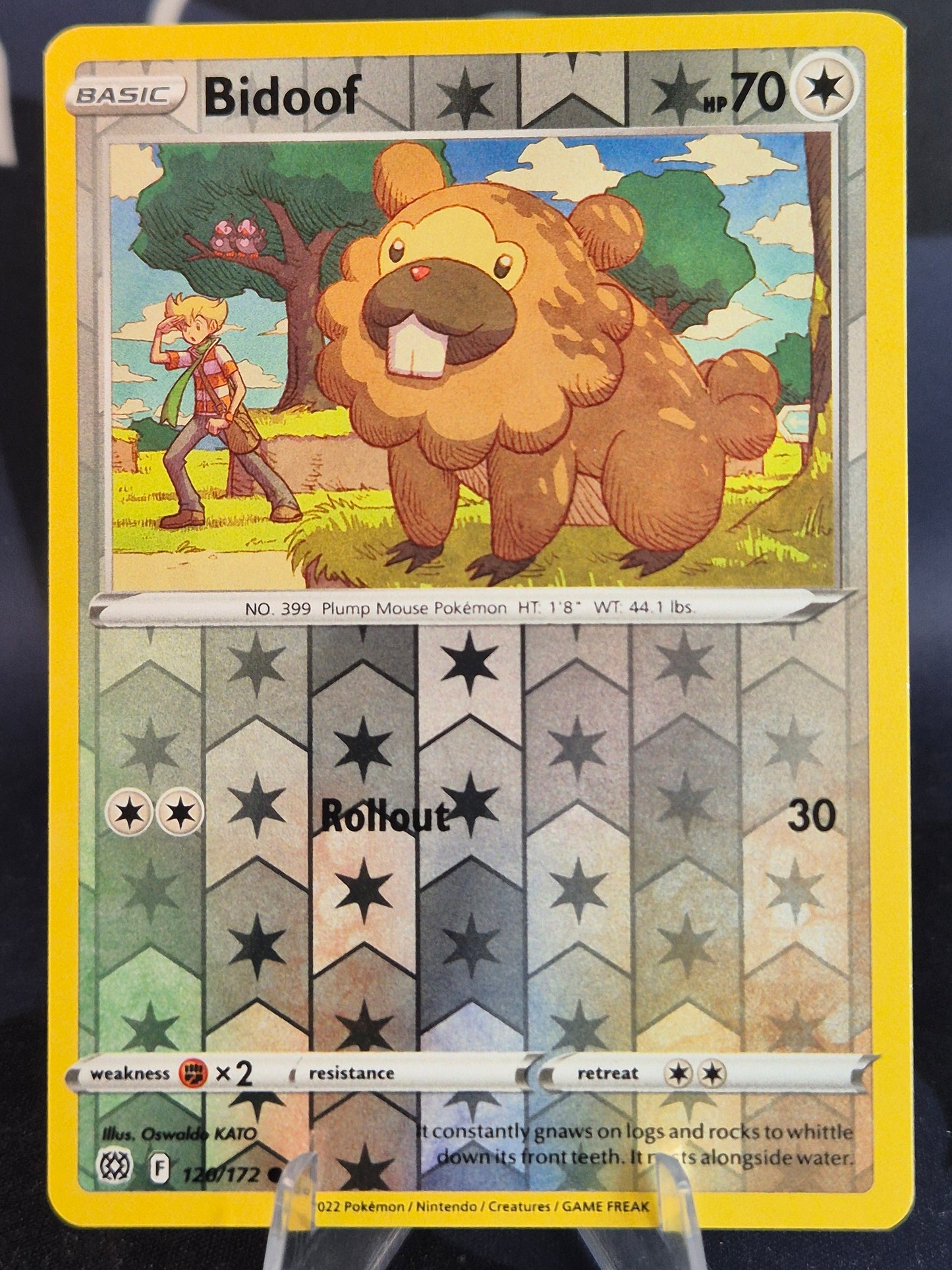 Bidoof 120/172 Brilliant Stars Reverse Holo