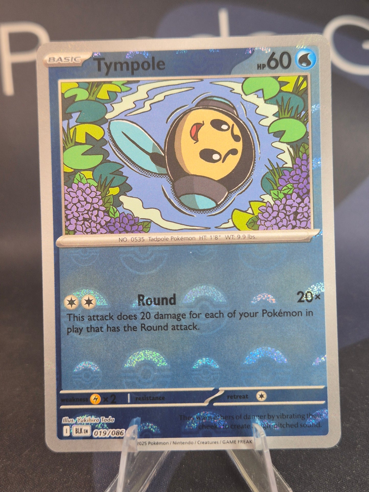Tympole 019/086 Black Bolt Pokeball Reverse Holo