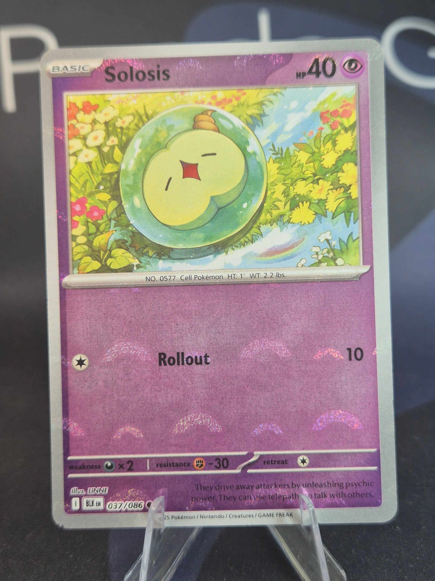 Solosis 037/086 Black Bolt Pokeball Reverse Holo