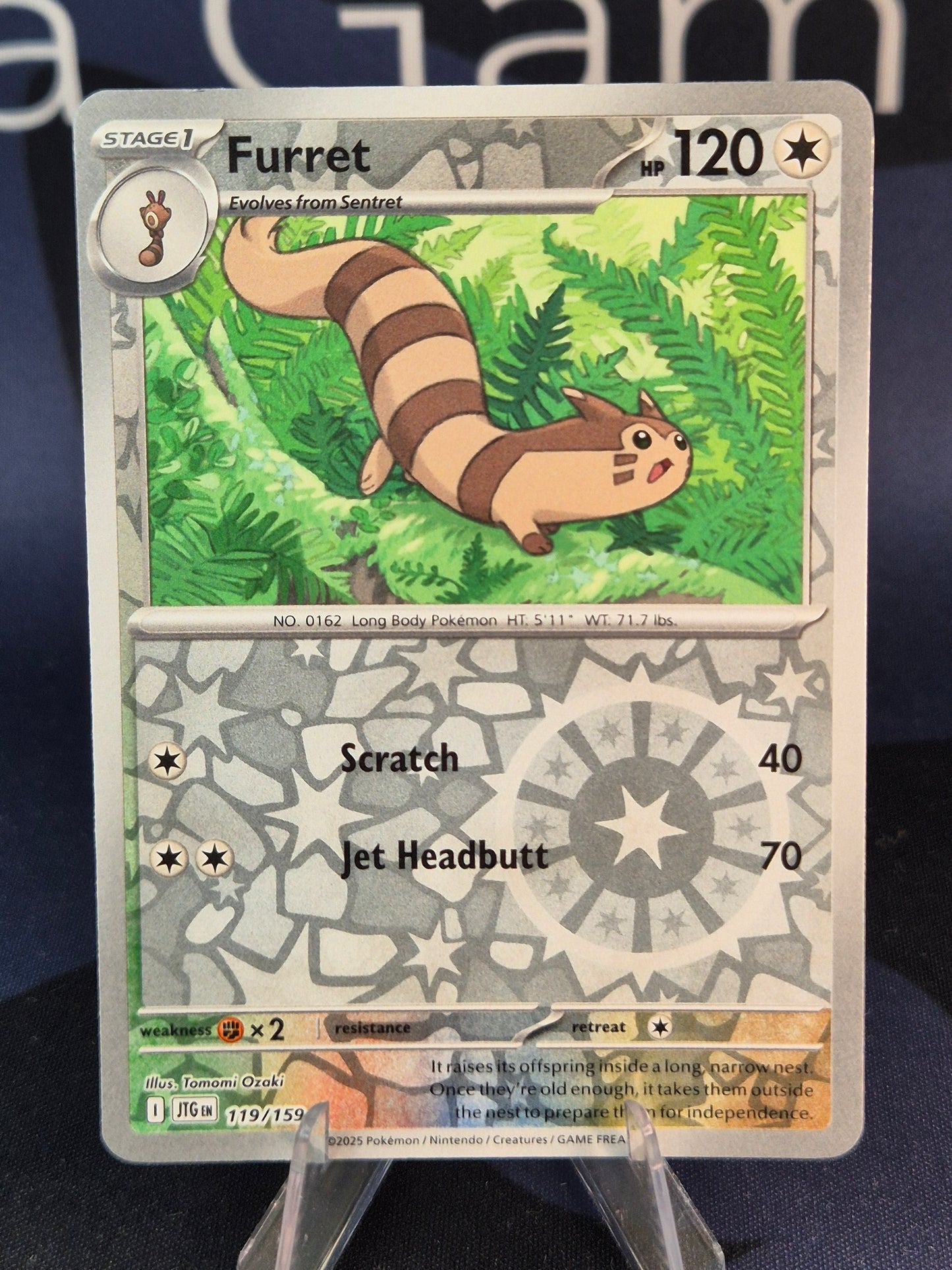 Furret 119/159 Journey Together Reverse Holo