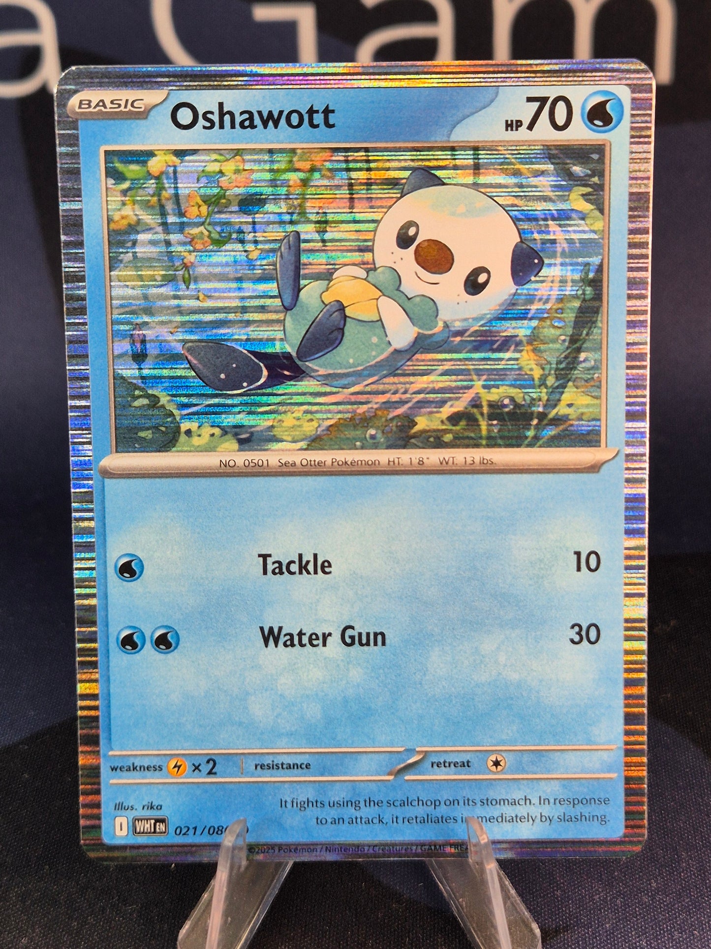 Oshawott 021/086 White Flare Holo