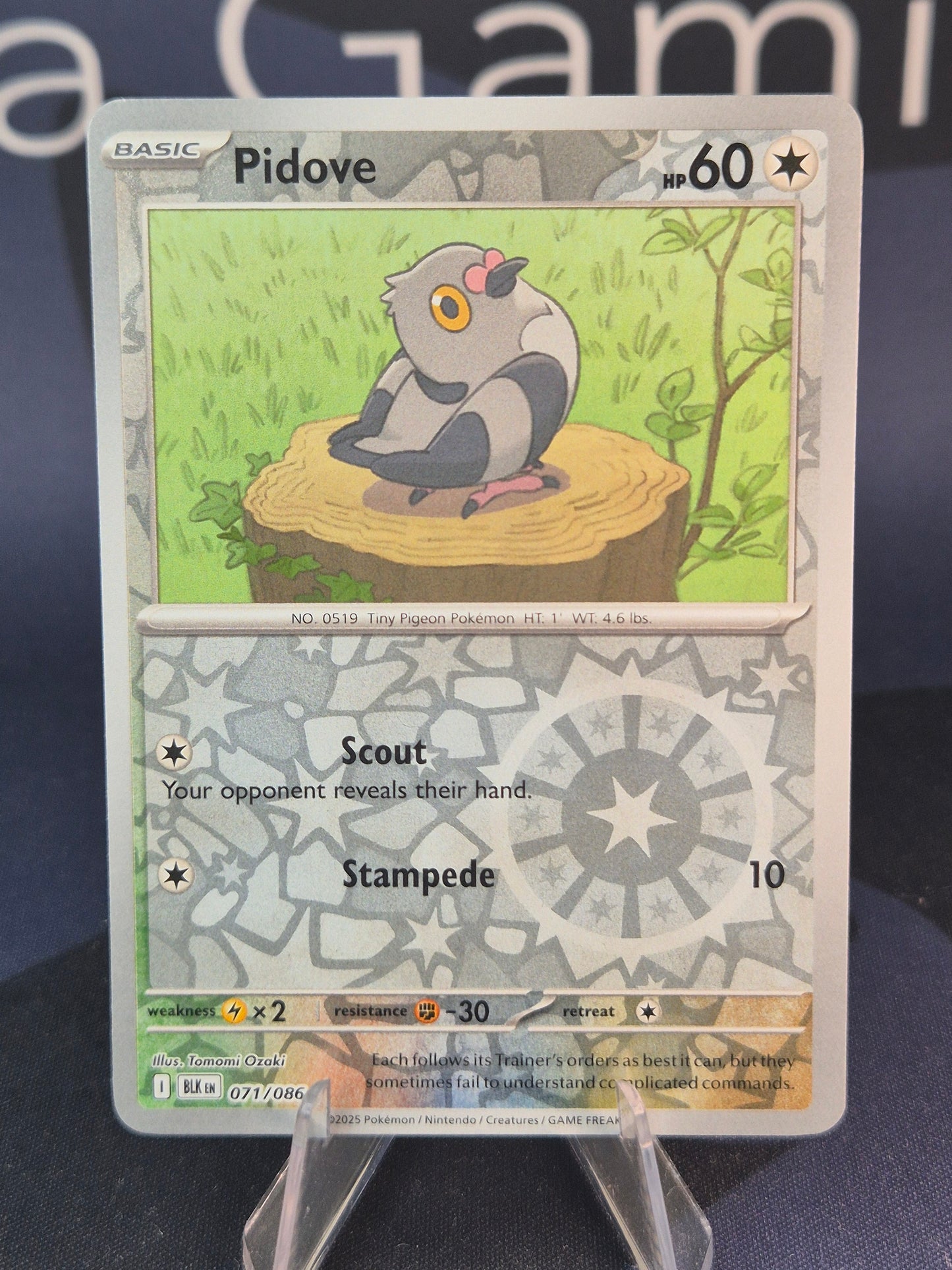 Pidove 071/086 Black Bolt Reverse Holo