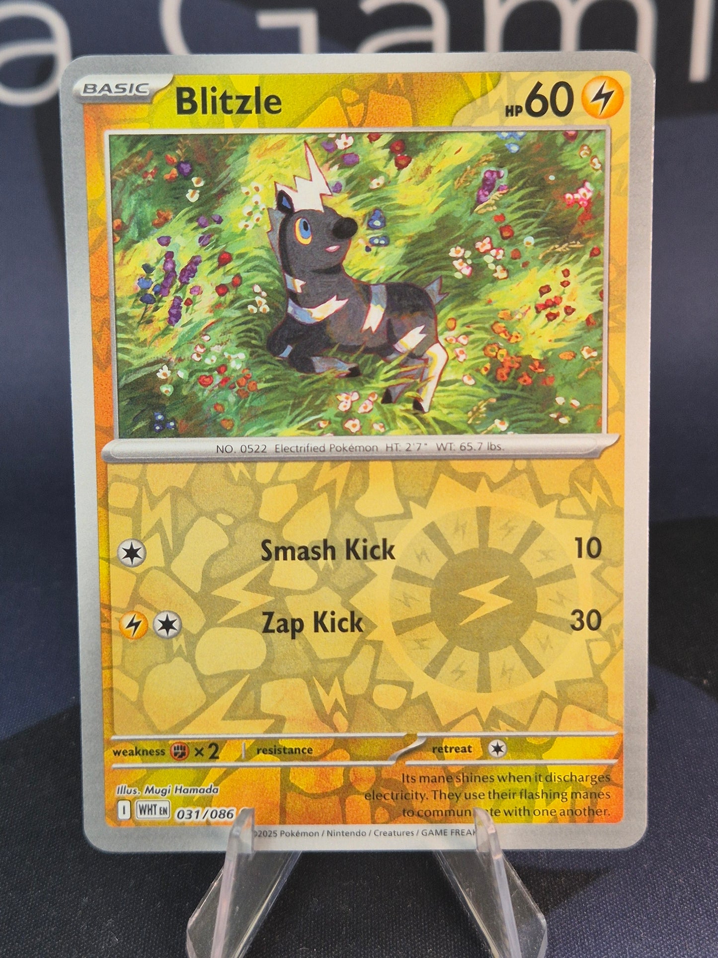 Blitzle 031/086 White Flare Reverse Holo