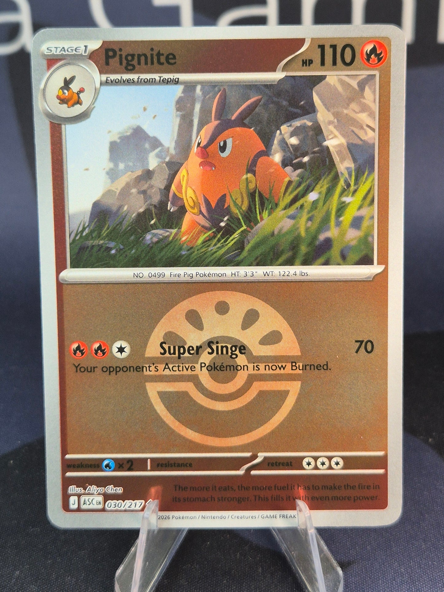 Pignite 030/217 Ascended Heroes Reverse Holo Friend Ball