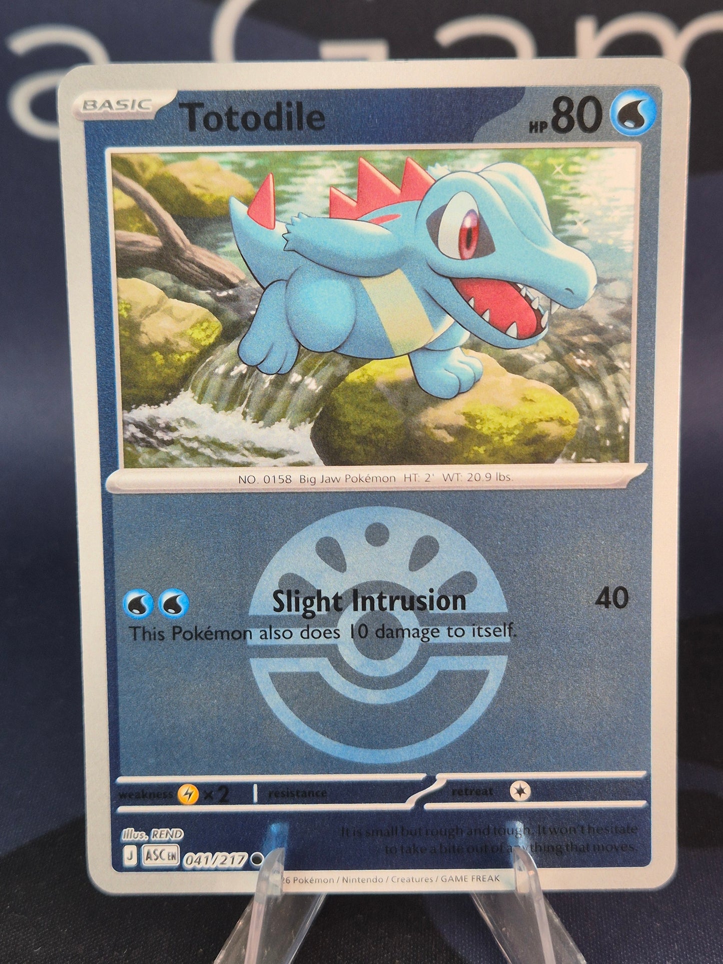 Totodile 041/217 Ascended Heroes Reverse Holo Friend Ball