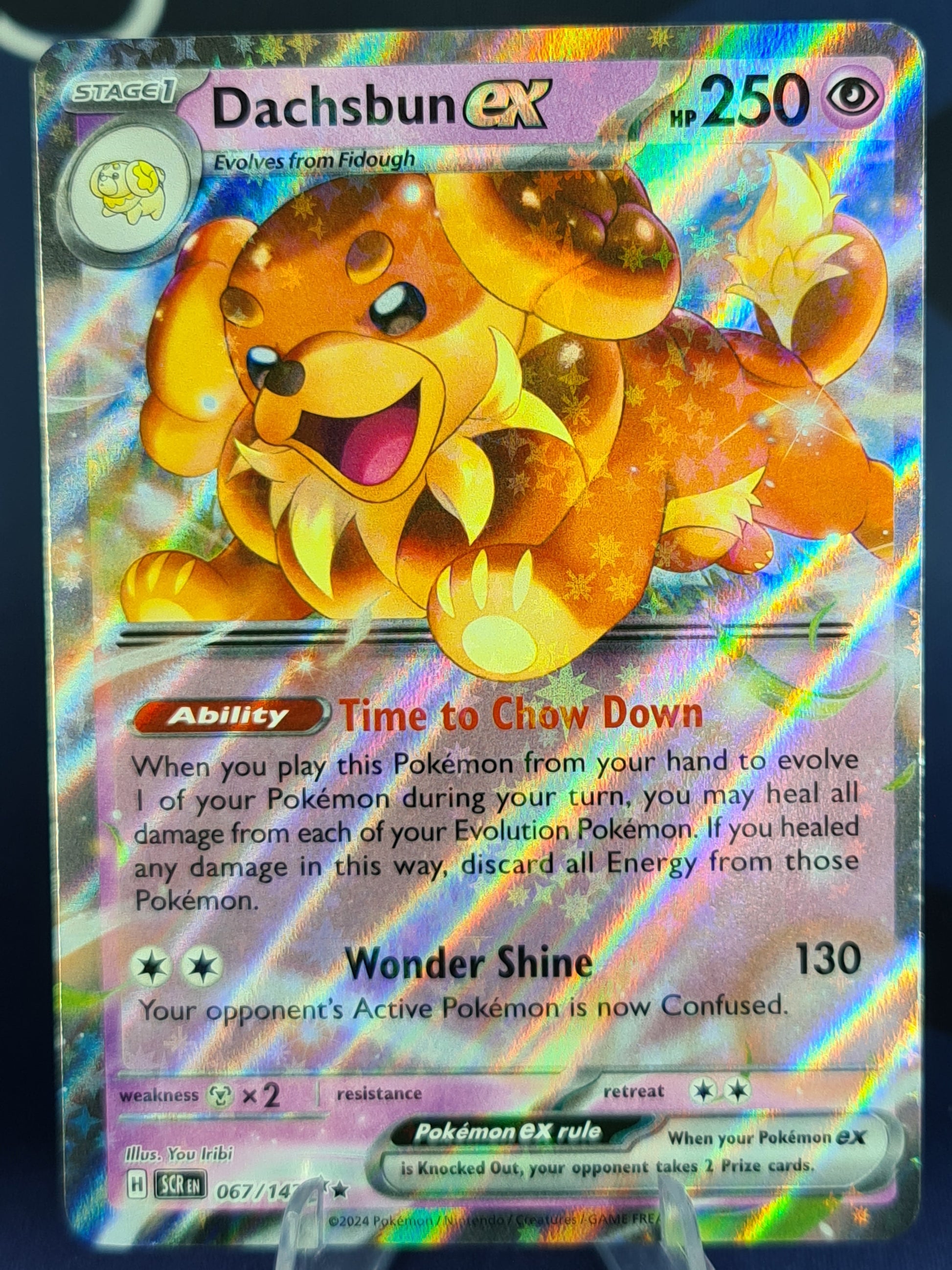 Dachsbun ex 067/142 Stellar Crown Double Rare Red Panda Gaming Dachsbun ex 067/142 Stellar Crown Double Rare Red Panda Gaming