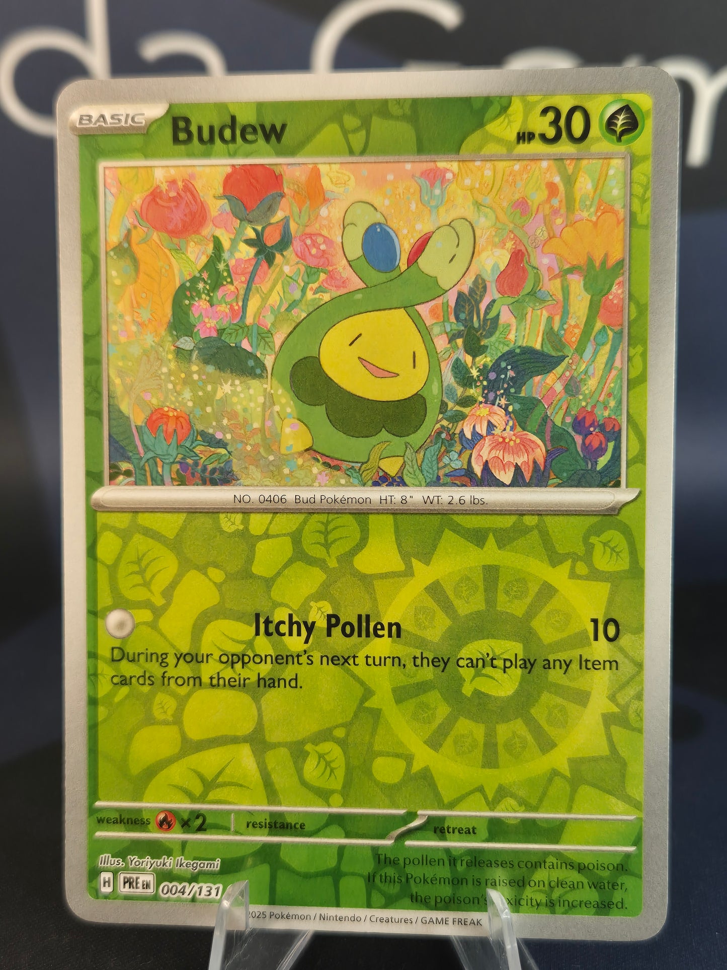 Budew 004/131 Prismatic Evolutions RH