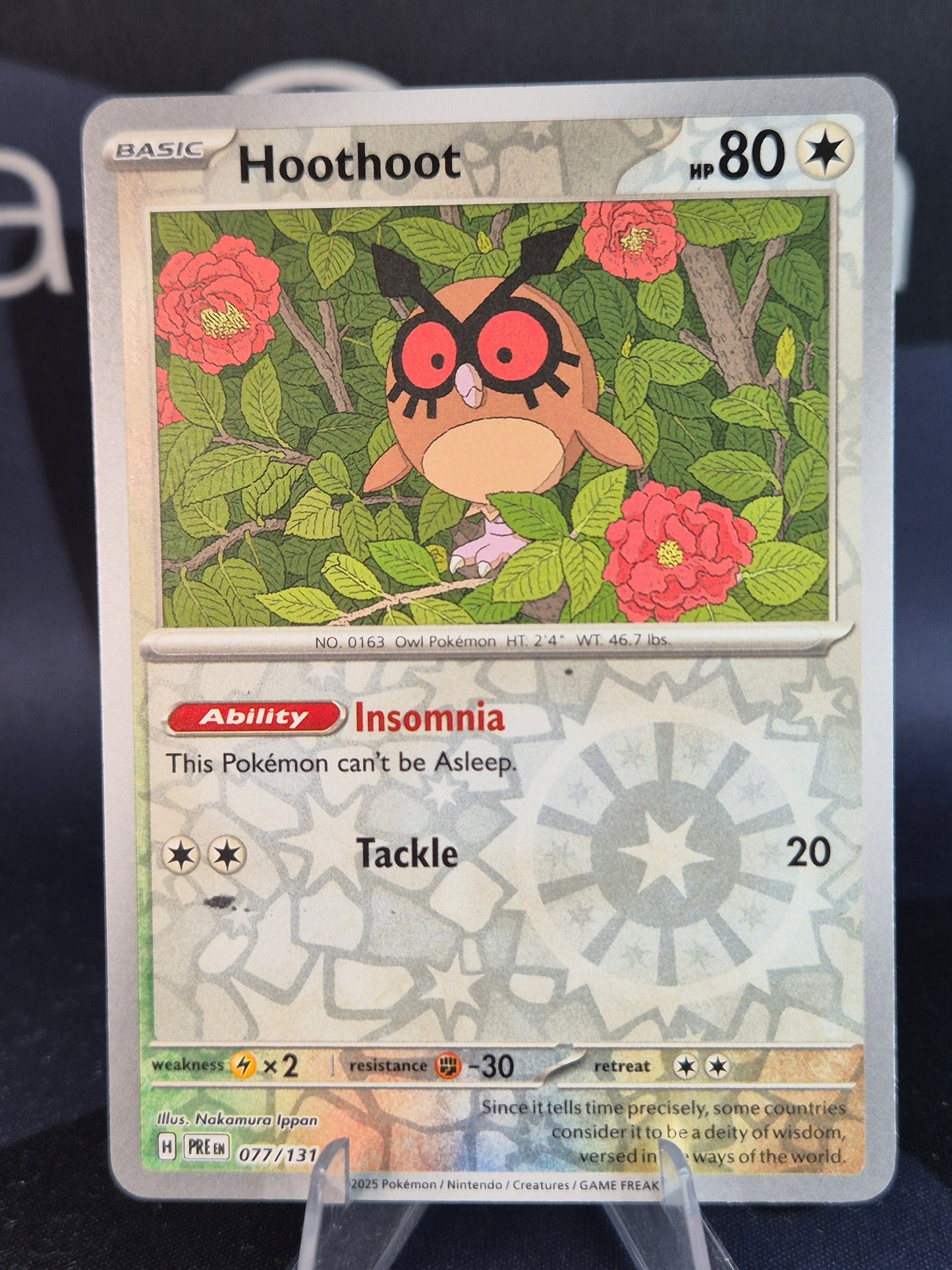 Hoothoot 077/131 Prismatic Evolutions RH