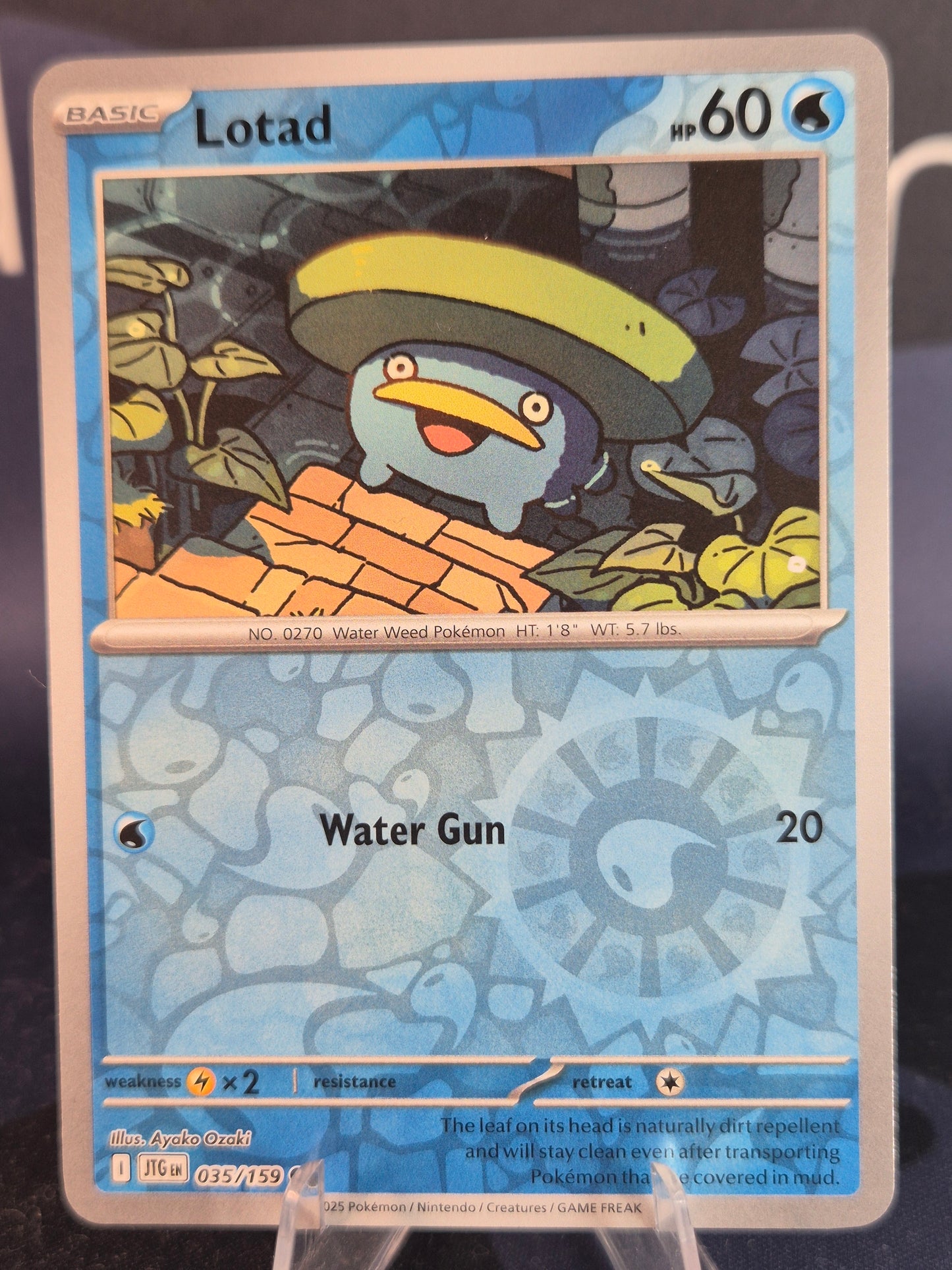 Lotad 035/159 Journey Together RH
