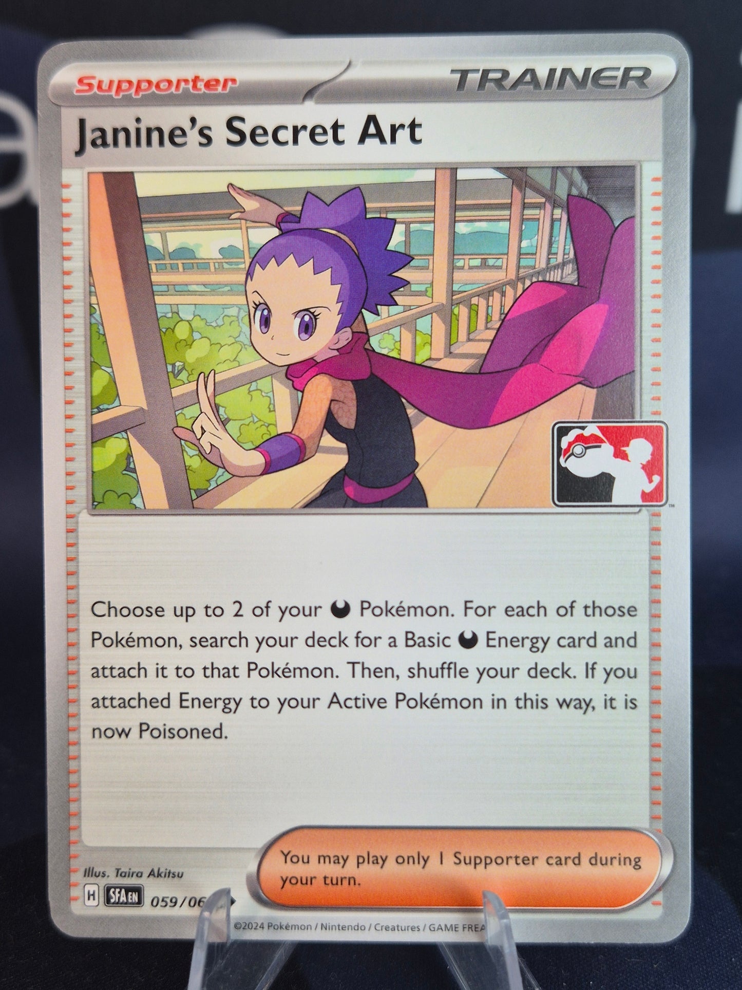Janine's Secret Art Play Stamp Series 5
