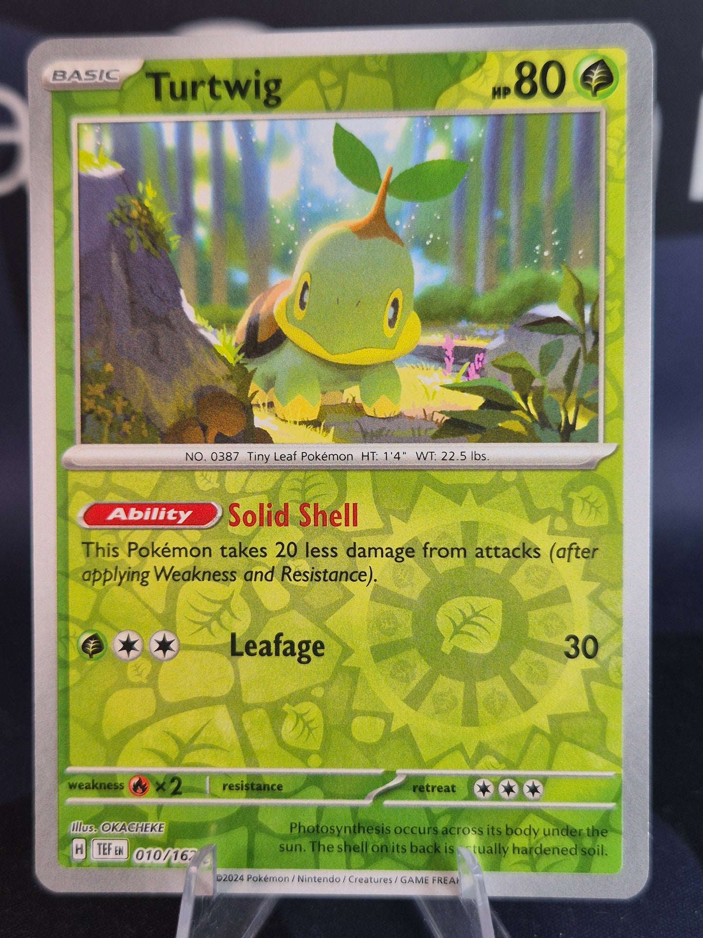 Turtwig 010/162 Temporal Forces RH