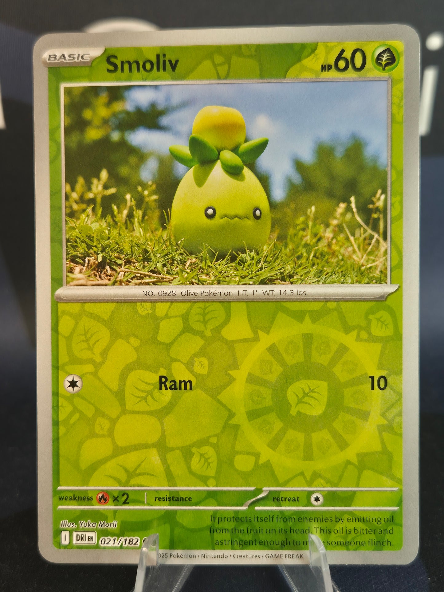 Smoliv 021/182 Destined Rivals Reverse Holo