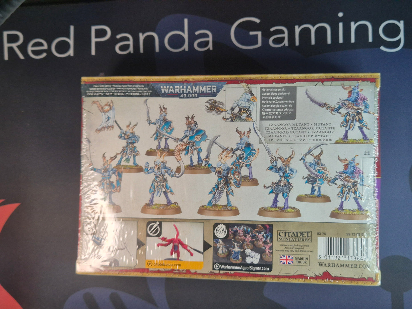 Warhammer Age of Sigmar Disciple of Tzeentch Tzangors