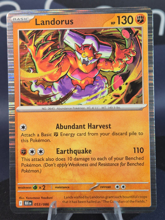 Landorus 053/086 Black Bolt Holo