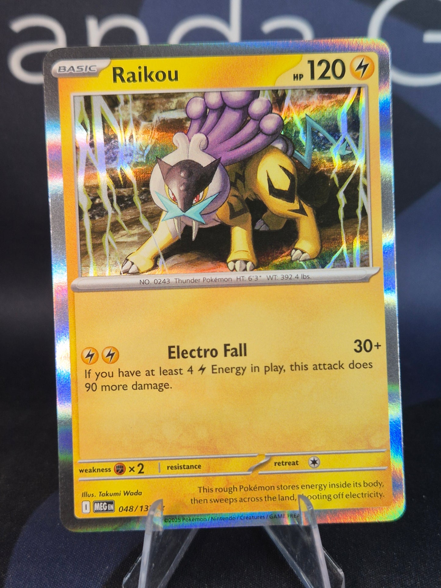 Raiku 048/132 Mega Evolution Holo Rare