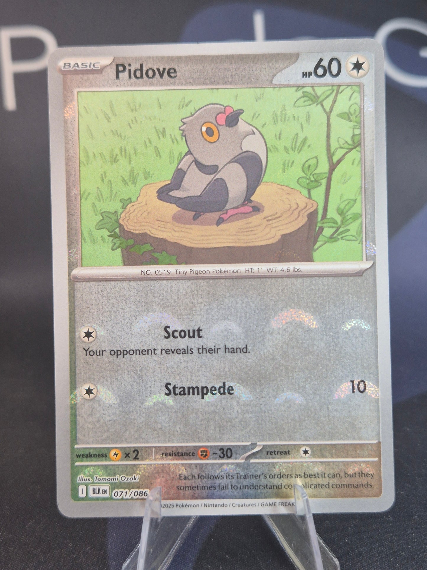 Pidove 071/086 Black Bolt Pokeball Reverse Holo