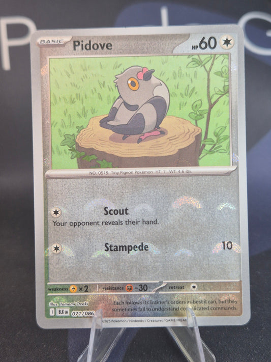 Pidove 071/086 Black Bolt Pokeball Reverse Holo