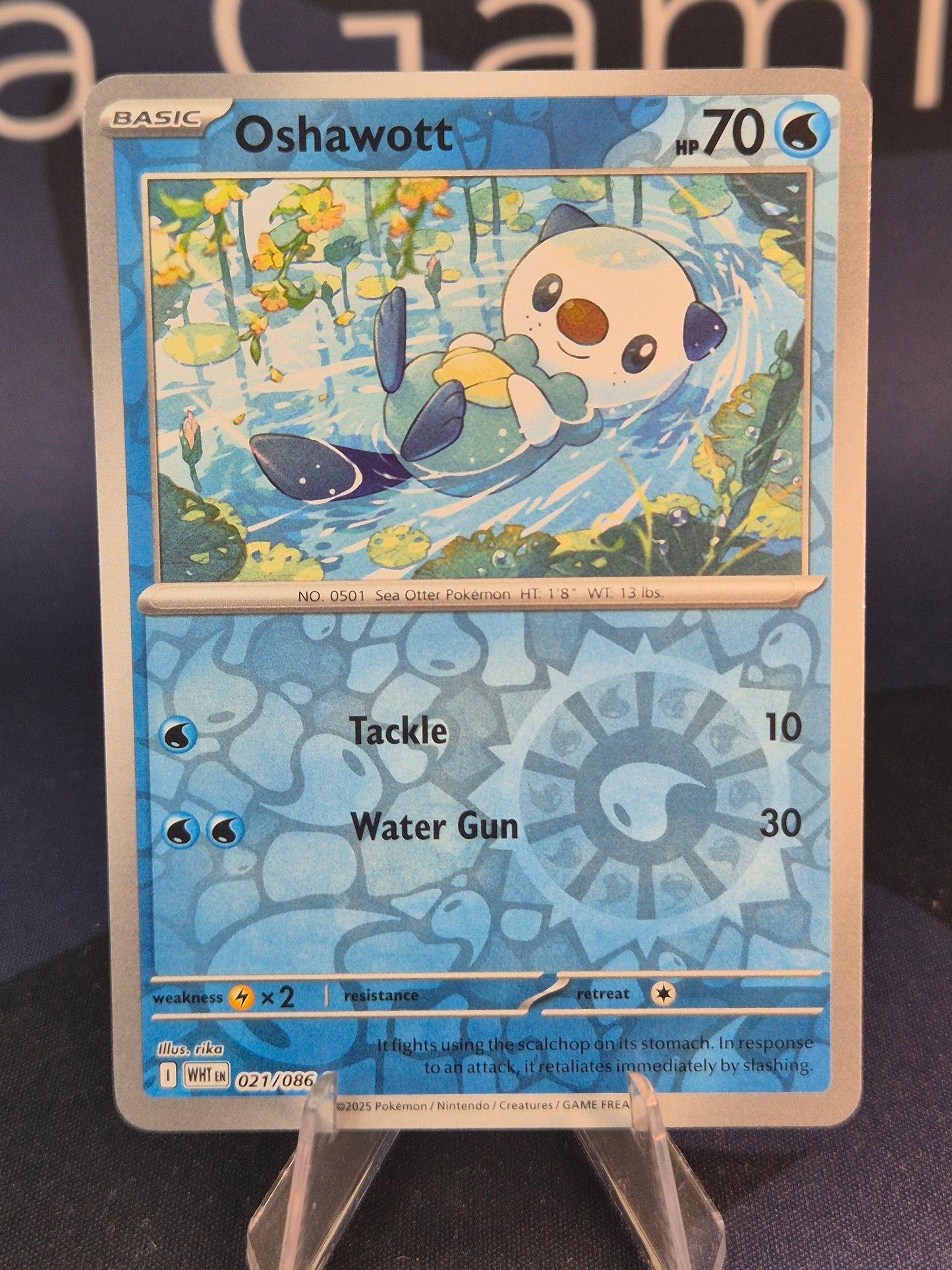 Oshawott 021/086 White Flare Reverse Holo