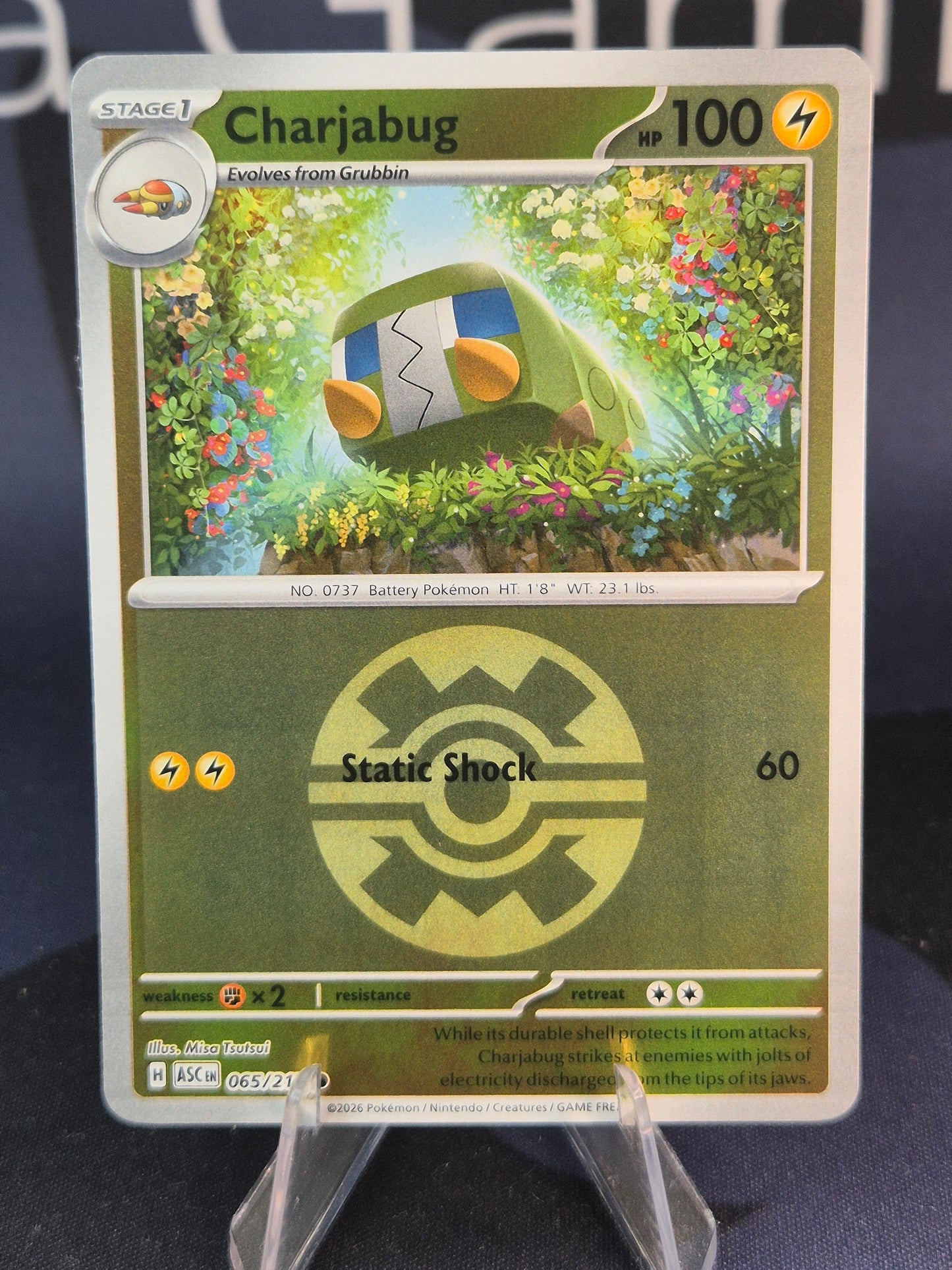 Charjabug 065/217 Ascended Heroes Reverse Holo Quick Ball
