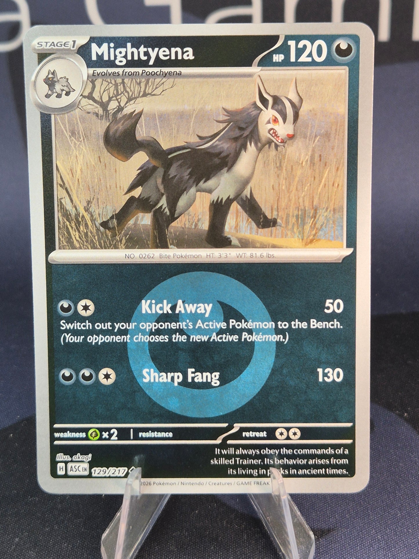 MIghtyena 129/217 Ascended Heroes Reverse Holo