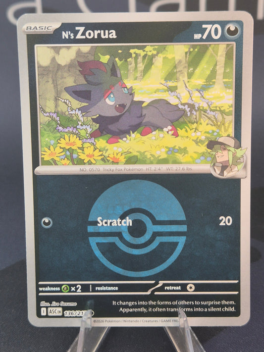 N's Zorua 136/217 Ascended Heroes Reverse Holo Pokeball