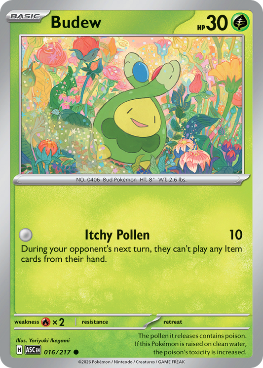 Budew 016/217 Ascended Heroes