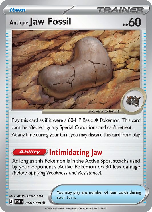 Antique Jaw Fossil 068/088